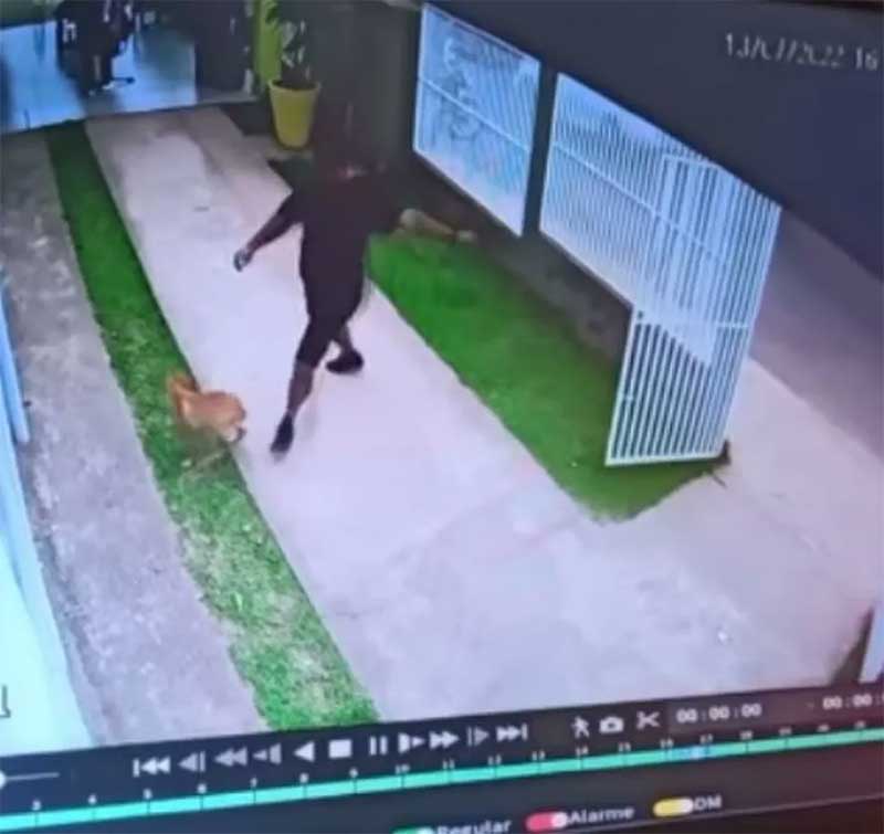 Vídeo flagra homem chutando cachorro após sair de unidade de saúde em Rio Branco — Foto: Reprodução