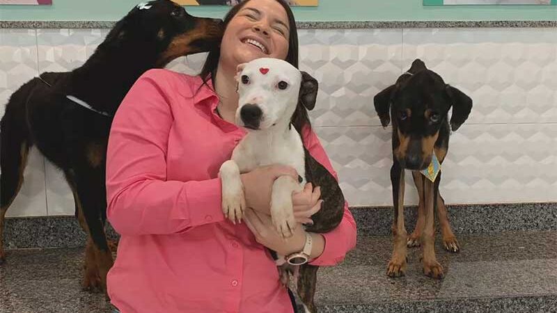 Médica veterinária Rafaela Patrícia Freire com os três cães que foram resgatados de situação de maus-tratos em União dos Palmares, AL — Foto: Arquivo Pessoal