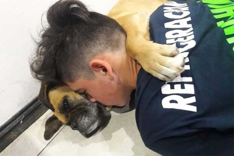 Cadela morre abraçada ao tutor após sofrer ataque cardíaco causado por fogos de artifício