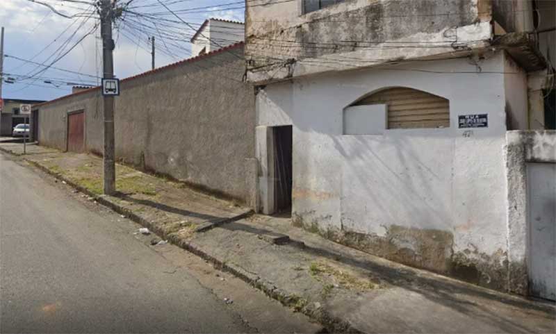 Cachorros são abandonados em casa após tutora morrer na região norte de Belo Horizonte, MG