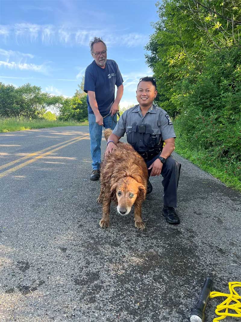 Cachorra idosa é resgatada por policial em tubulação de esgoto depois de passar dois dias desaparecida