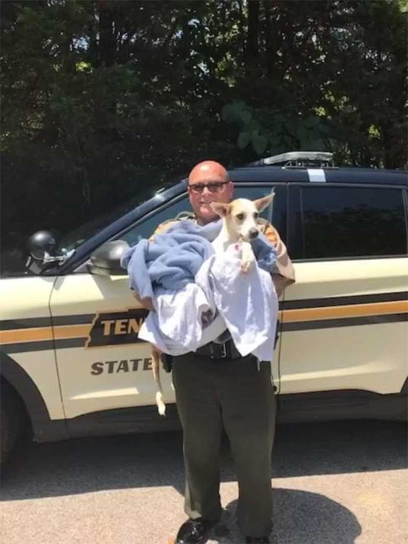 E não é que o próprio policial adotou a cachorrinha? (imagem: Arquivo Pessoal/Kaye Fiorello/Amo Meu Pet)