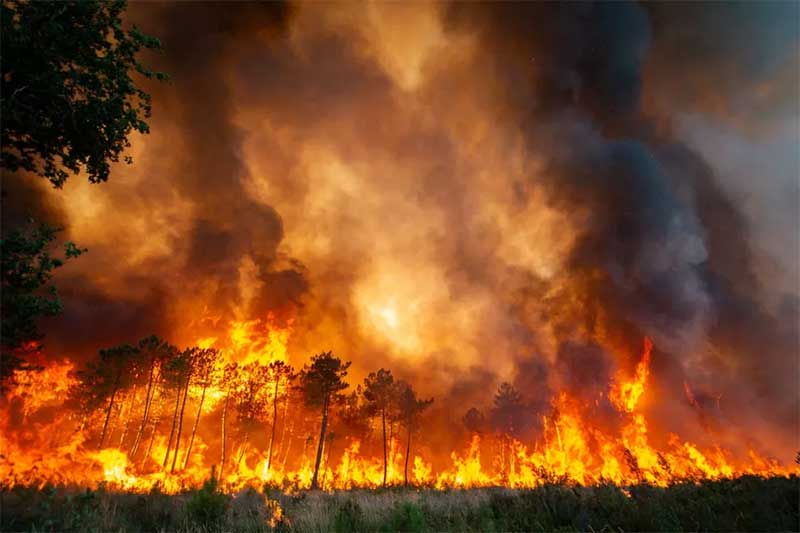 Árvores queimam durante incêndio florestal em Landiras, na região de Gironda, na França. — Foto: Brigada de bombeiros de Gironda/Divulgação/Reuters