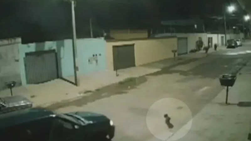 Motorista acelera e atropela cachorro em rua de Anápolis, GO