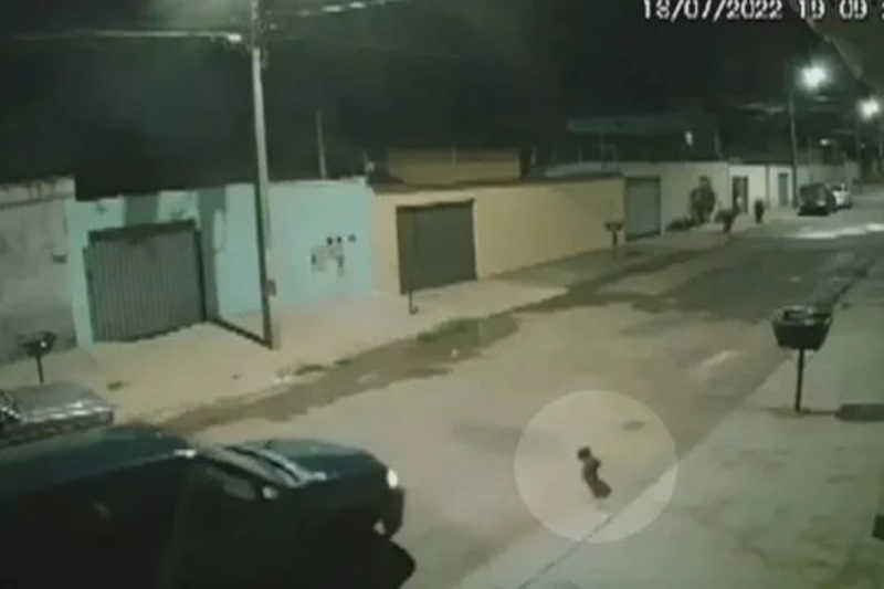 Motorista acelera e atropela cachorro em rua de Anápolis, GO