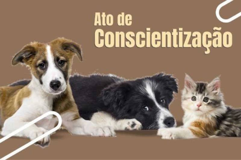 Ministério Público promove ato de conscientização sobre abandono de animais em Nobres, MS