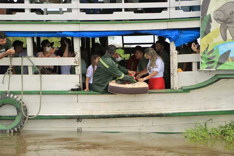 Os animais voltaram às águas do rio Amazonas na sexta-feira (01/07) — Foto: Zoo Unama/Divulgação