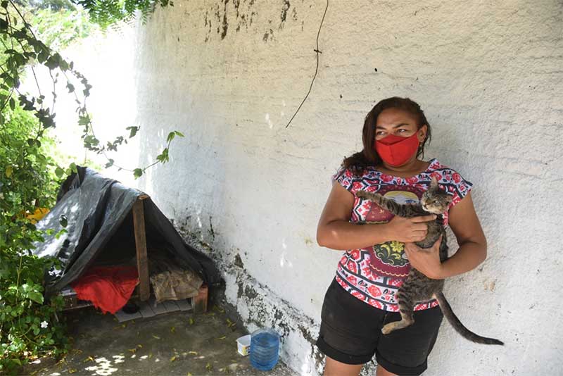 Moradora constrói abrigo improvisado para gatos abandonados no Bela Vista, em Teresina, PI