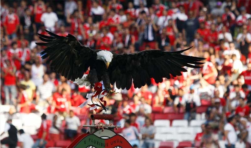 Portugal: Benfica é chamado para deixar de usar as águias em estádio