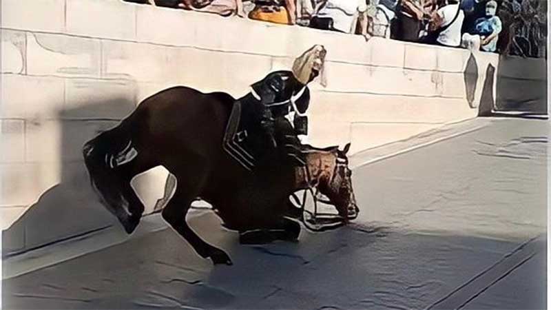 Queda de cavalo em procissão leva PAN a pedir explicações e causa indignação nas redes sociais