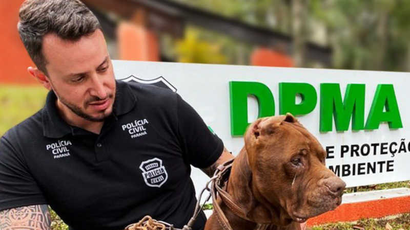 Gaeco cumpre mandado de busca na casa do delegado defensor dos animais no Paraná