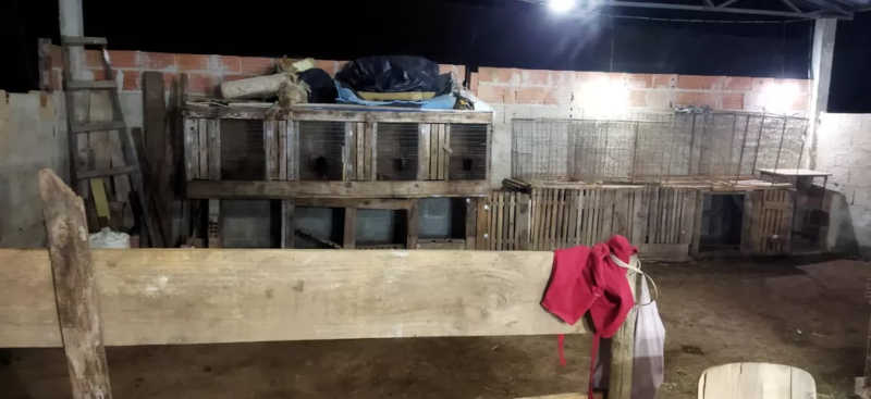 Polícia fecha espaço onde acontecia uma rinha de galo, em Bom Jardim, RJ