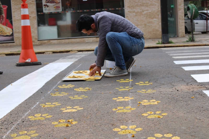 Faixa de pedestre ganha patinhas de cachorro como alerta para cuidado com os animais