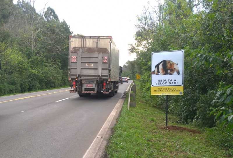 Placas sobre travessia de animais silvestres são instaladas em Gramado, RS