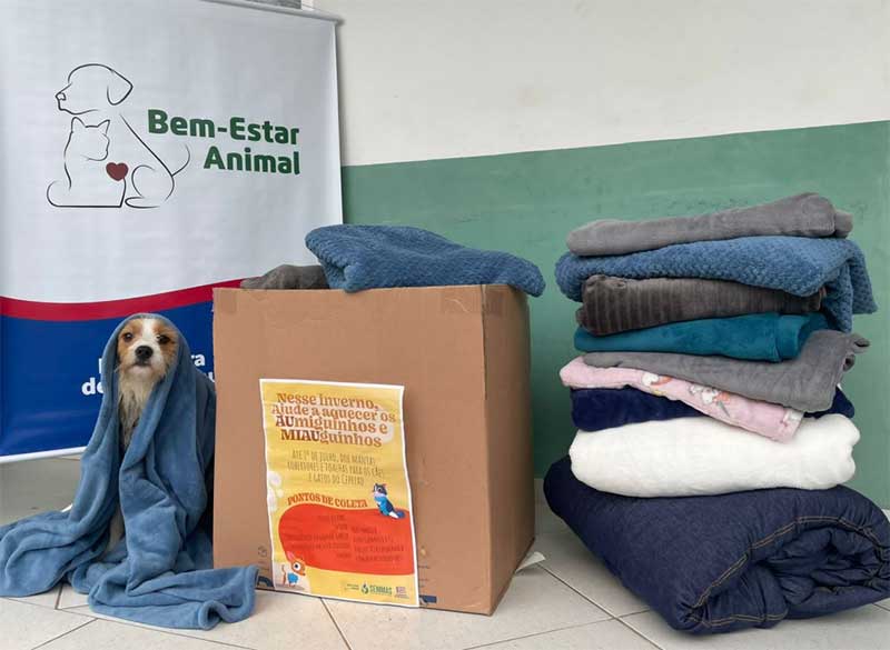 Mais de 300 itens arrecadados durante a Campanha do Agasalho Animal em Blumenau, SC