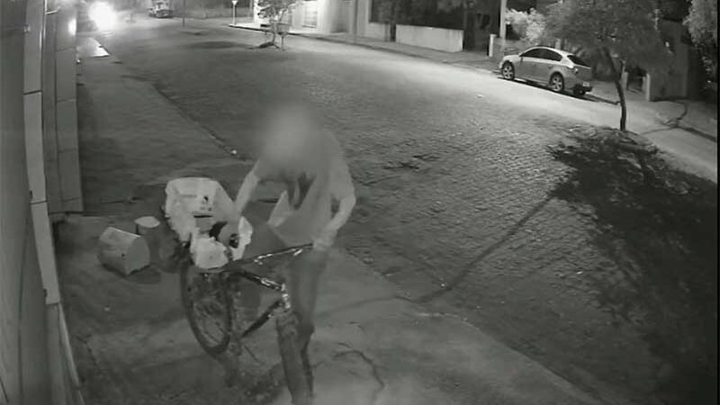 Imagens mostram homem agredindo cachorro em Dom Pedrito, RS