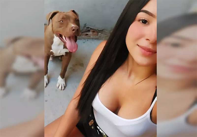 Tutora de cão morto a tiros por policial civil durante confusão diz que animal era dócil: ‘Não precisava atirar’