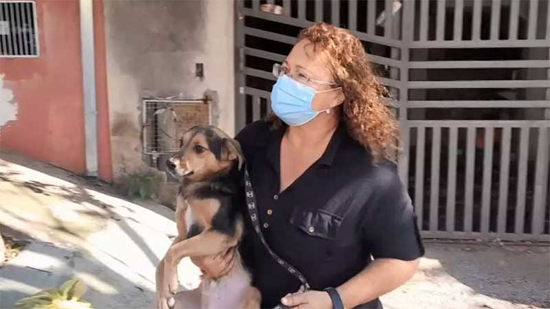 Morador será multado em R$ 8 mil após resgate de cachorros em Piracicaba, SP