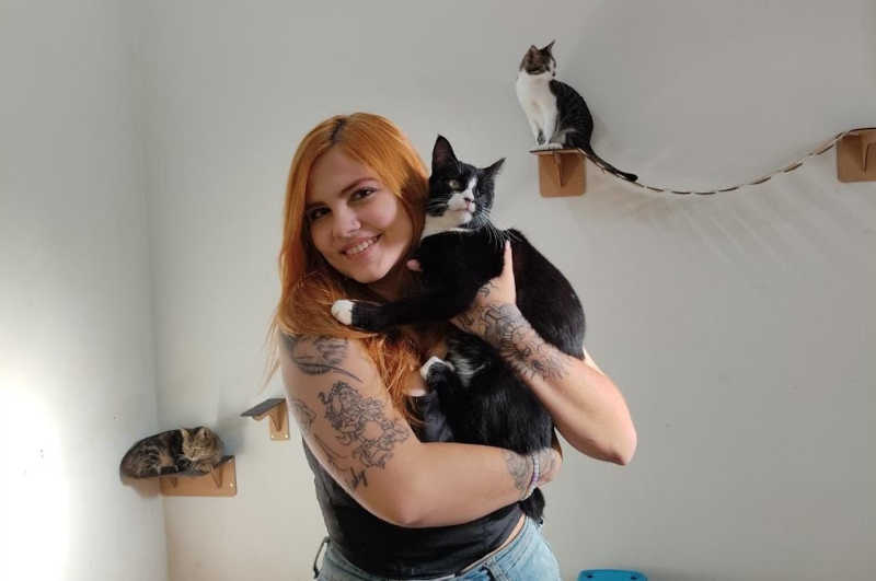 Jovem acolhe em abrigo mais de 50 gatos abandonados em Piracicaba, SP