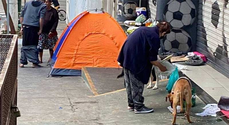 Casal em situação de rua espanca cães com pauladas no centro de SP