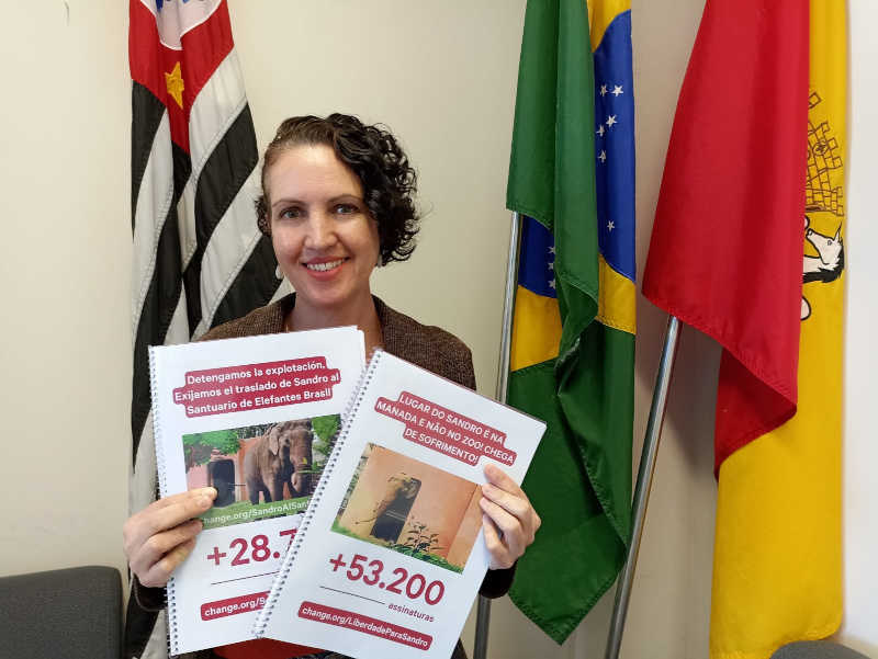 Petições pela transferência de Sandro superam 80 mil assinaturas e são entregues à Câmara Municipal em Sorocaba, SP