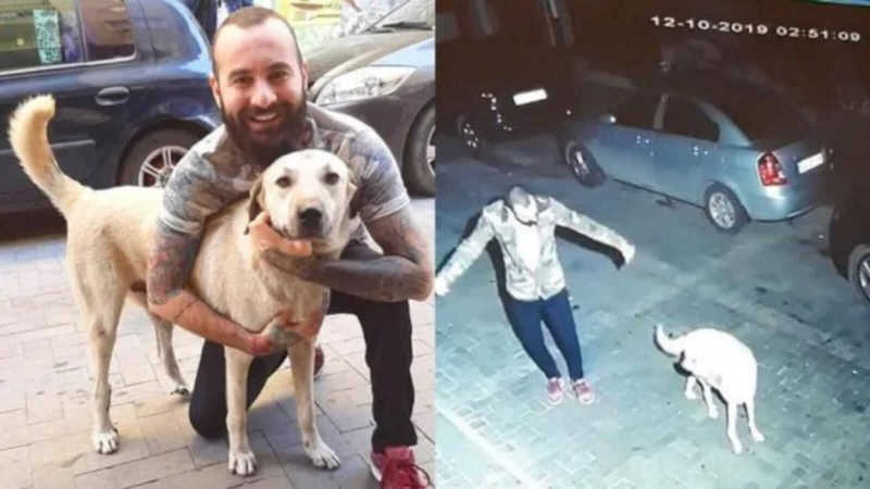 Homem é flagrado dançando feliz com cachorro de rua