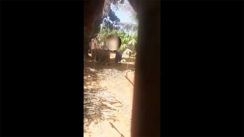 Idoso é preso suspeito de matar cachorro a golpes de machado na Bahia; vídeo mostra crime