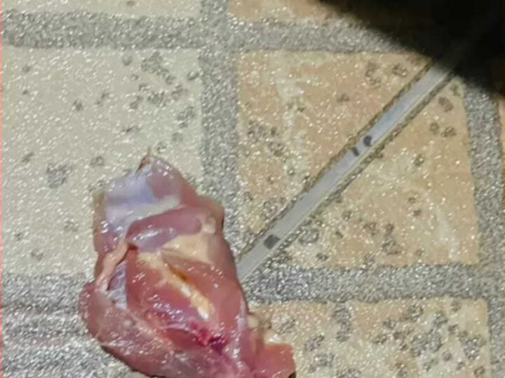 Perna de frango jogada no chão, no DF — Foto: Arquivo pessoal