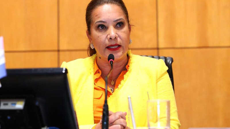 Deputada Janete de Sá é presidente da CPI. Foto: Ellen Campanharo/Arquivo Ales