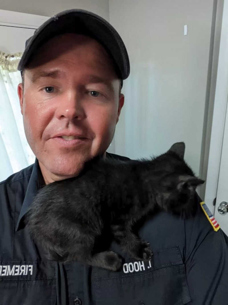 Bombeiro resgata gato que ficou preso em bueiro por 4 dias e acaba adotando ele: ‘Me apaixonei’