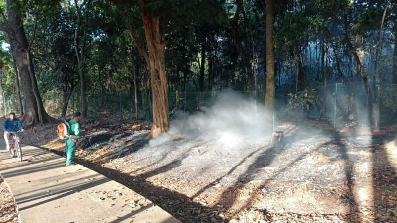 Prefeitura de Goiânia leva alimentos para animais de Área de Preservação Permanente queimada no Bosque Bougainville, e atua pela preservação do local, nesta quinta-feira (25/08)