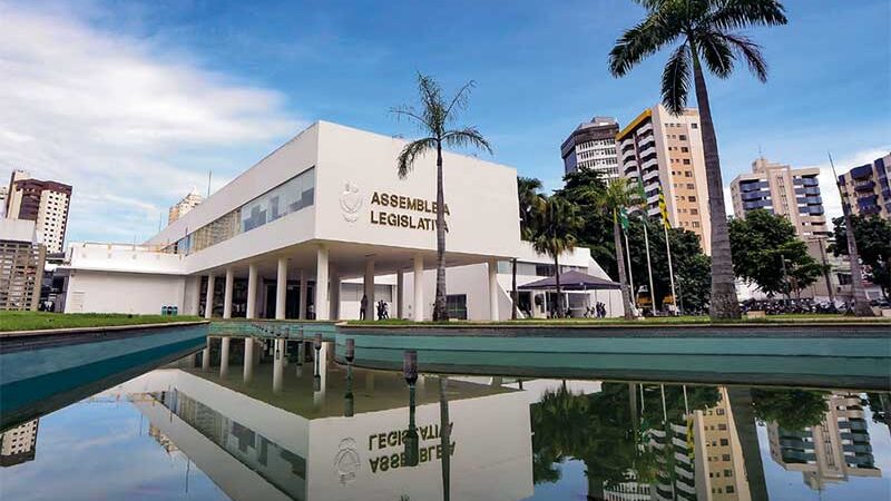 Direito dos animais pode ser acrescentado na grade curricular das escolas públicas de Goiás
