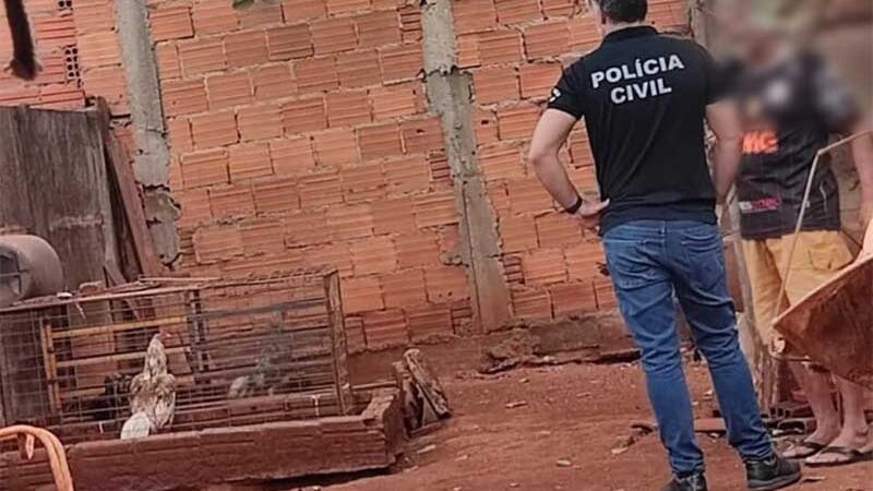 Operação autua suspeito de promover rinha de galos em Itumbiara (Foto: Divulgação – PC)