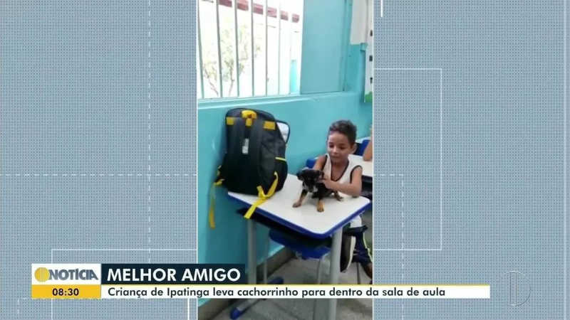 Menino leva cachorro na mochila para a escola em Ipatinga, MG