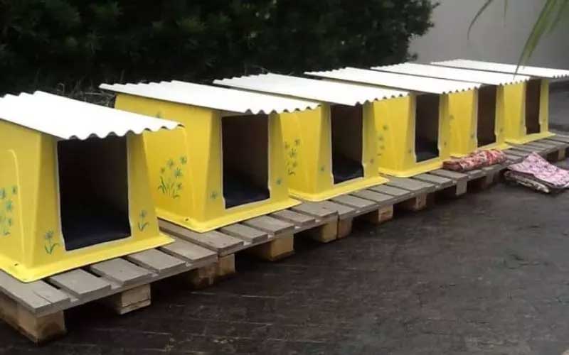 Roseli usa caixas do modelo antigo de ar-condicionado e transforma em casinhas de cachorro. – Foto: Arquivo pessoal/ND