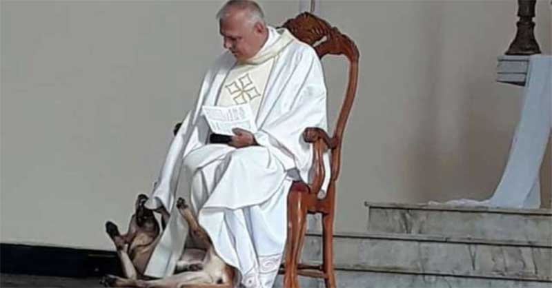 Padre que afaga cão durante a missa é aplaudido nas redes sociais