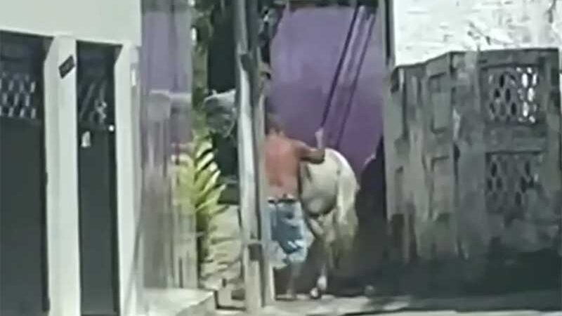Homem filmado agredindo cavalo em Olinda — Foto: Reprodução/WhatsApp