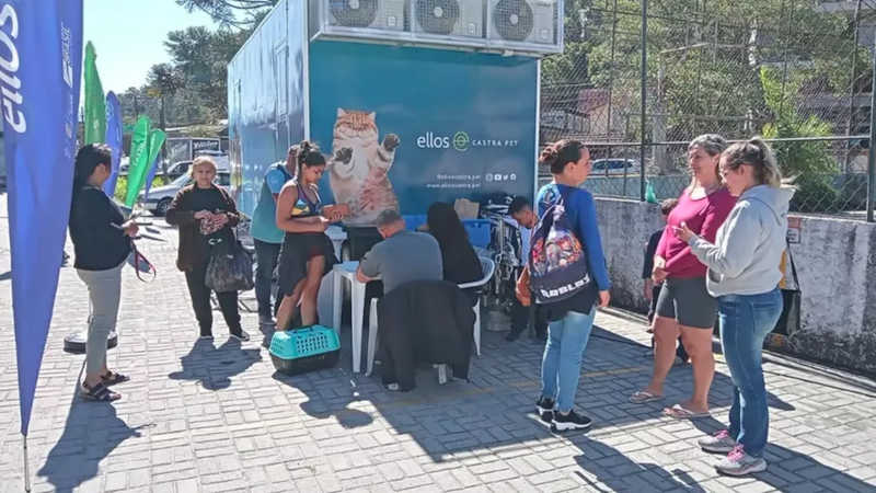 Projeto realiza castração gratuita de cães e gatos em Teresópolis, no RJ