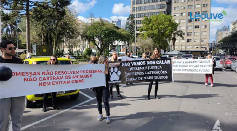 Voluntários de ONG’s cobram prefeitura por castrações em animais de Caxias do Sul, RS