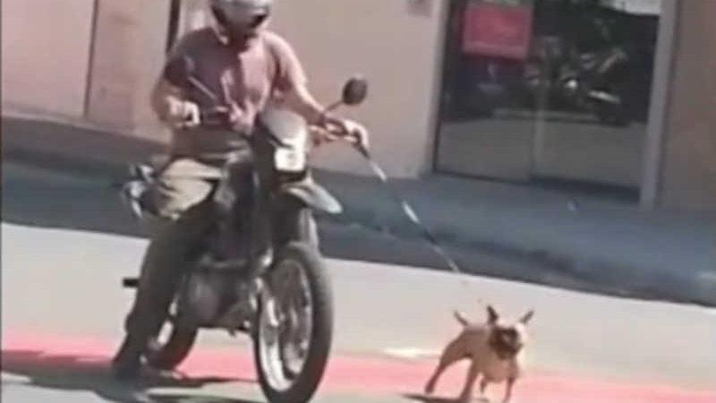 VÍDEO: homem é flagrado levando cão em coleira ao lado da moto em Blumenau, SC