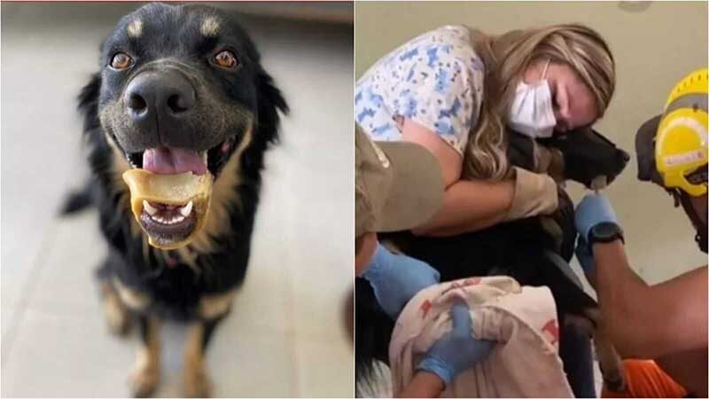 O cachorro precisou da ajuda dos bombeiros para tirar o osso, preso na mandíbula (Foto: Instagram/Lourena Paz)