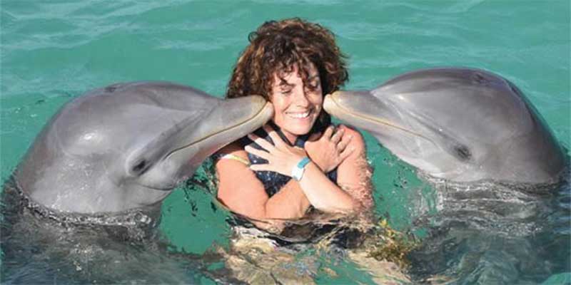 Tirar dentes de golfinhos para que turistas possam nadar com eles e outras crueldades que ninguém contou