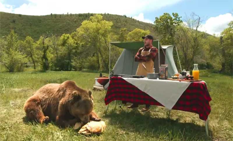 Zac Effron fez campanha publicitária com urso de cativeiro (Foto: Reprodução / Instagram)