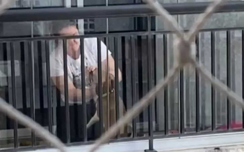 Vídeo mostra agressão contra cachorras resgatadas em apartamento no interior de SP