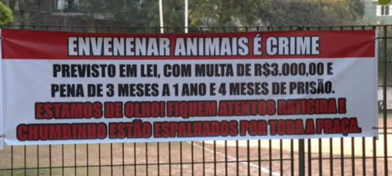 Polícia investiga envenenamento de cães na Vila Mariana, na zona sul de SP