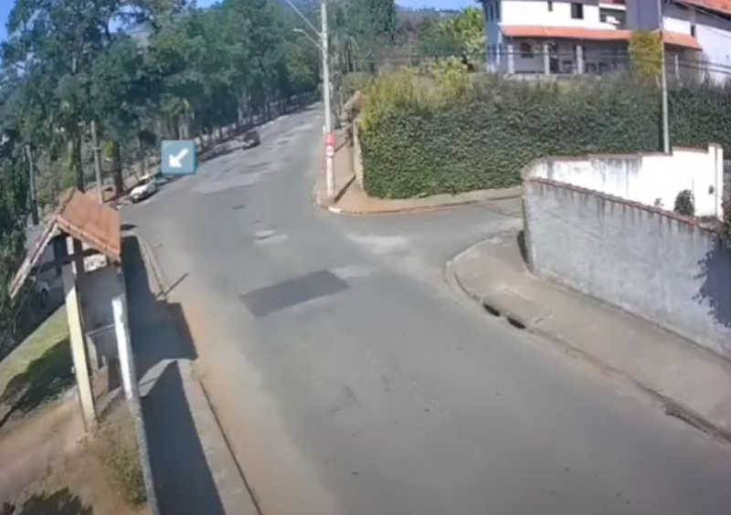 Vídeo mostra cachorro sendo abandonado em rua de São Roque, SP