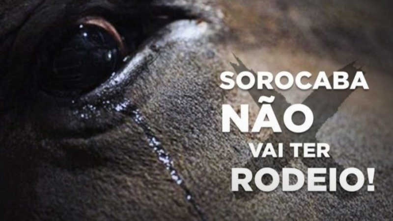 Rodeio em Sorocaba (SP): um retrocesso na causa animal