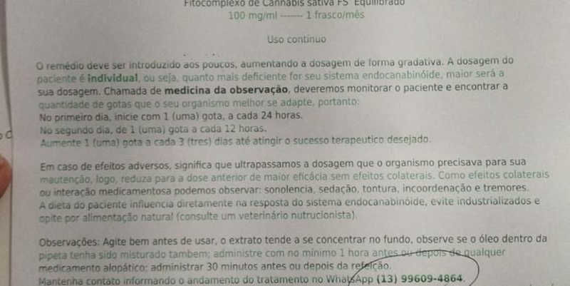 Catatau precisa de medicamentos a base de Cannabis Sativa para aliviar sintomas neurológicos (Alícia Nizzoli)