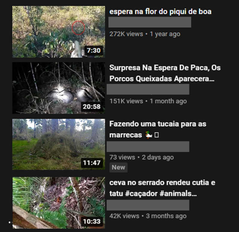 Vídeos de caçadas são extremamente comuns no Brasil.