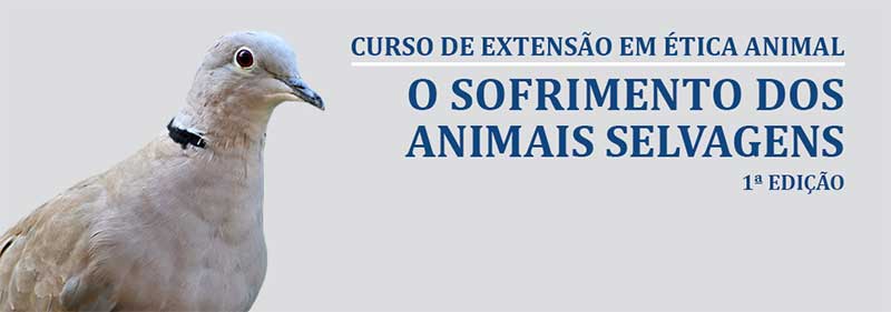 Ética Animal: abertas as inscrições para a 1ª edição do curso sobre o sofrimento dos animais selvagens